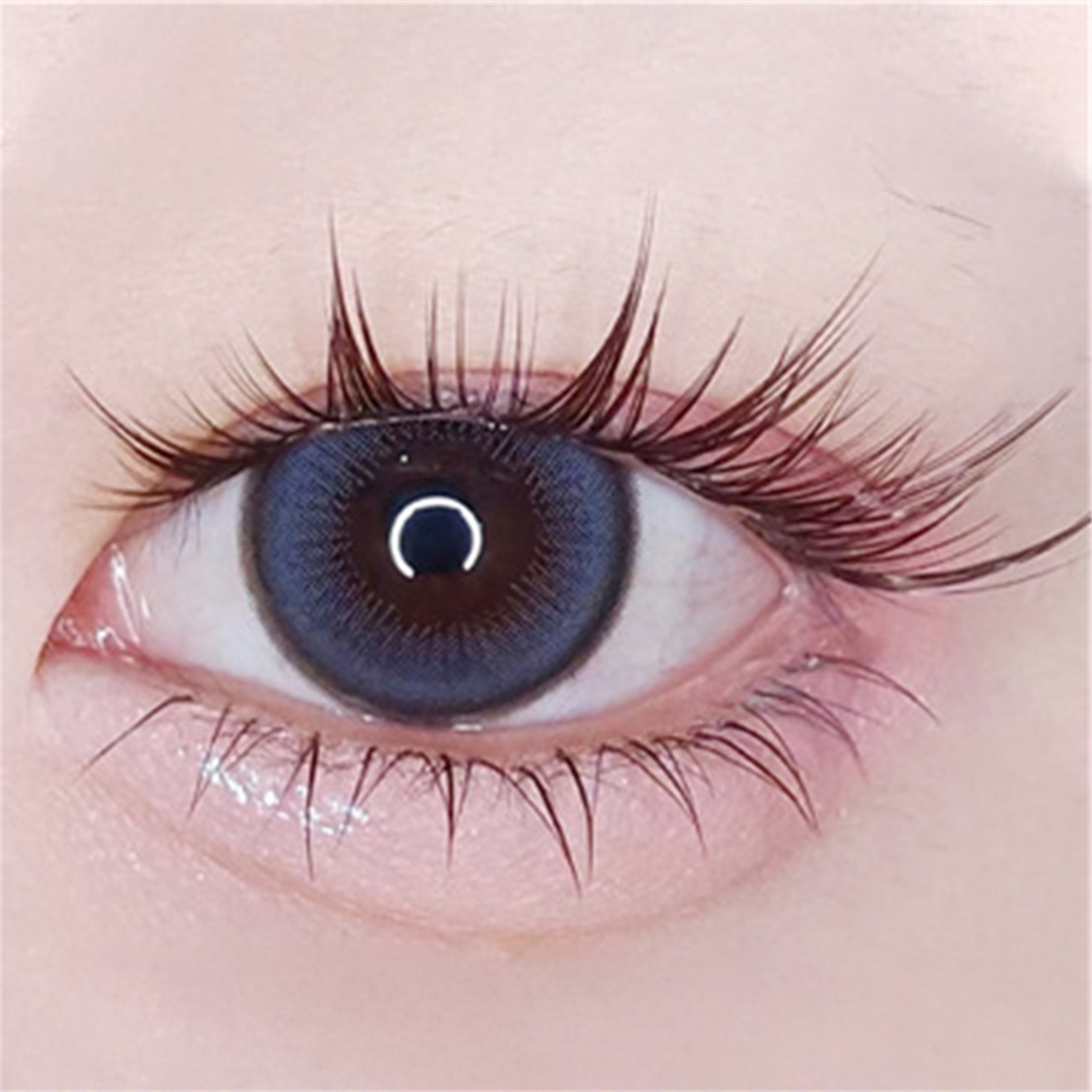 10 Rows False Eyelashes Air Lo – Eyelash Extension Uv Glue Bewertung und Preis